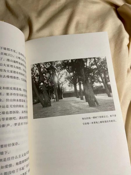 我与地坛的作者是谁