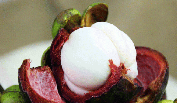 山竹是几月份的应季水果