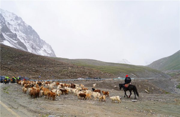 独库公路多少公里