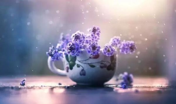 心穷是什么意思