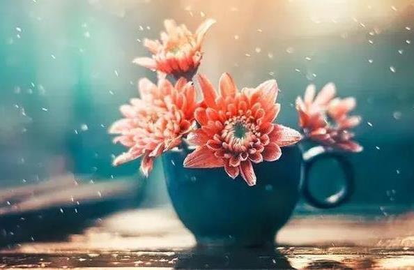 心穷是什么意思