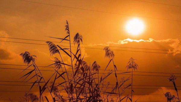 官场小说代表作有哪些