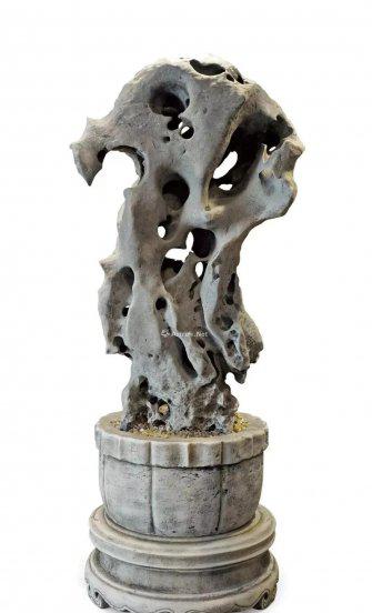 太湖石产地在哪里