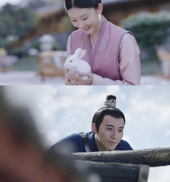 斛珠夫人小说原著中角色结局