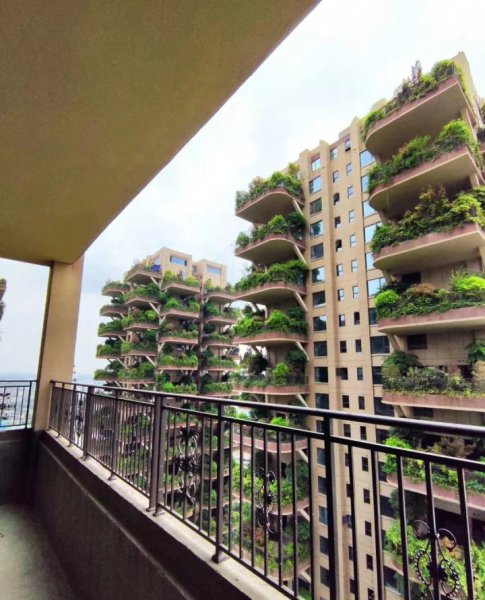 花园洋房是什么意思