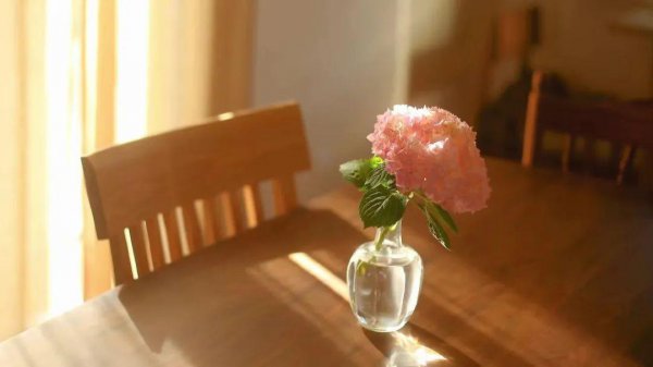 如何提高自信的十大方法