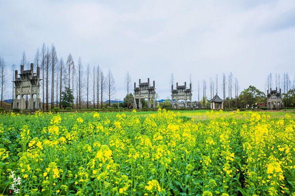 安徽黄山牌坊群在哪里