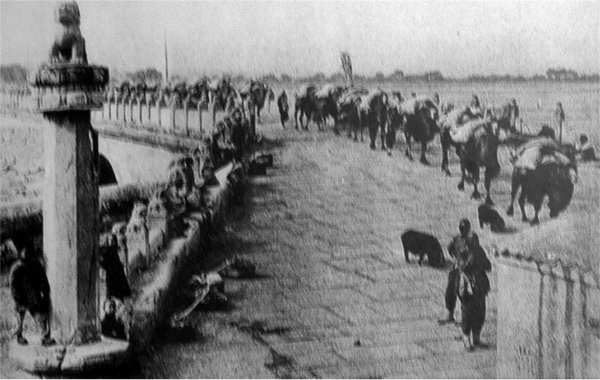 德国拉贝孙子求助中国真的吗