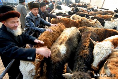 2023年古尔邦节是哪一天 每年古尔邦节风俗有哪些