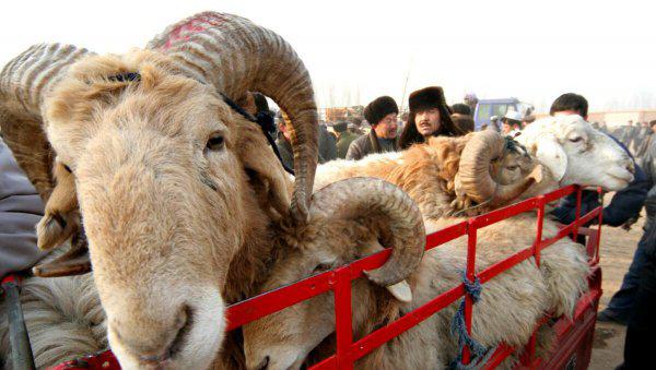 2022年古尔邦节是哪一天