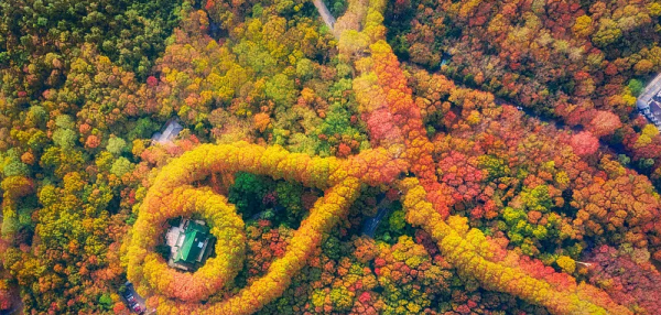 南京旅游必去十大景点推荐