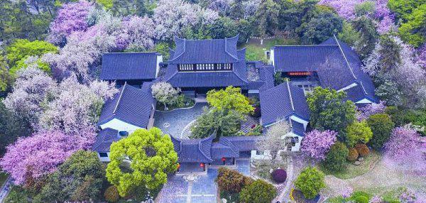 南京旅游必去十大景点推荐