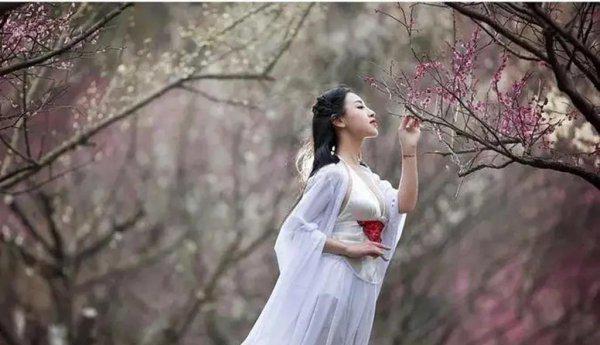 最有名的桃花诗有哪些