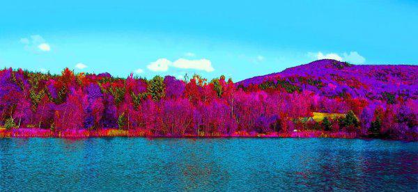 具象化是什么意思