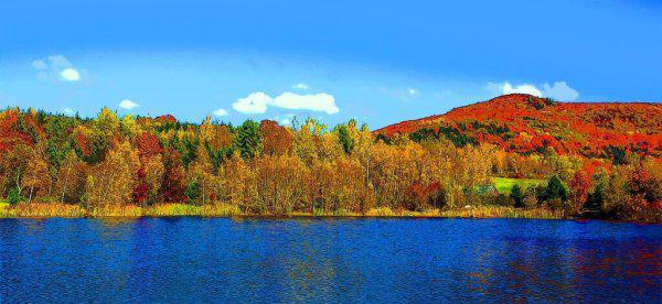 具象化是什么意思