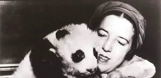 熊猫名字的来历是什么