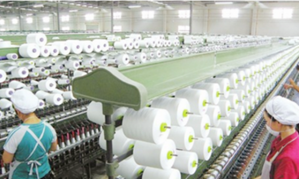 李宁是什么项目运动员