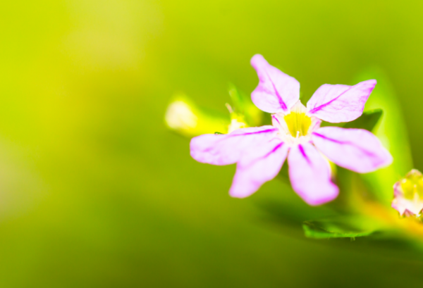 男人不理你说明越爱你为什么