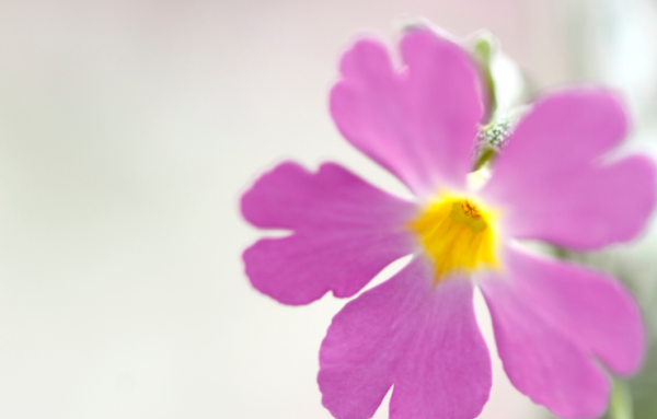 男人不理你说明越爱你为什么