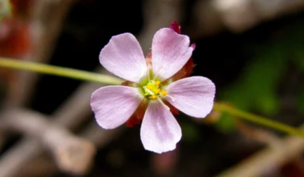 男人不理你说明越爱你为什么