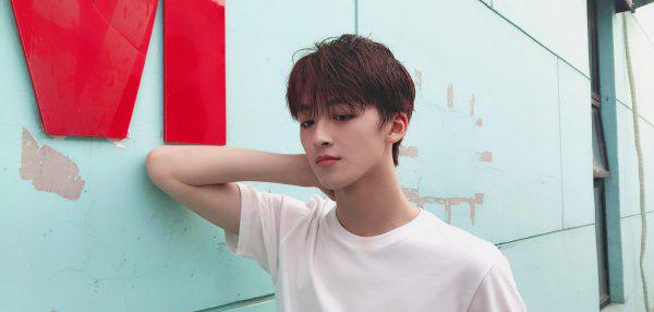 何洛洛个人资料简介