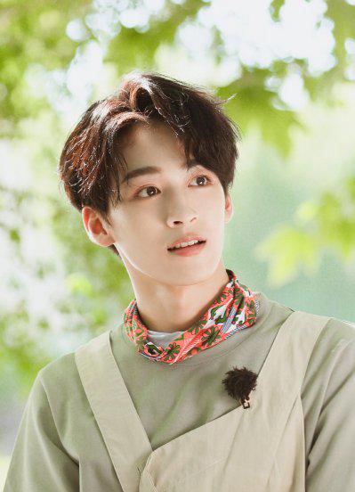 何洛洛个人资料简介