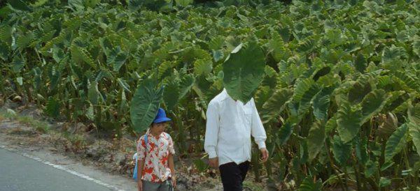 菊次郎的夏天讲的是什么故事