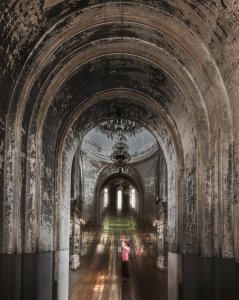 哈尔滨猫脸老太太事件真相大揭秘 猫脸老太太事件经过