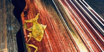 古琴的琴面一般为什么木 古琴是用什么制作的有何寓意