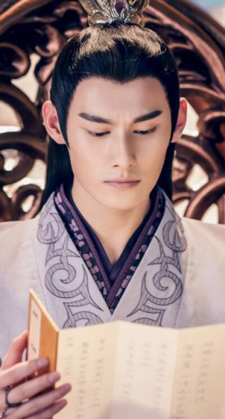 陈情令结局什么意思