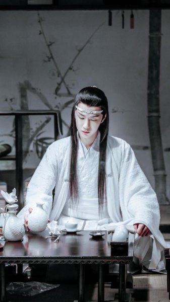 陈情令结局什么意思