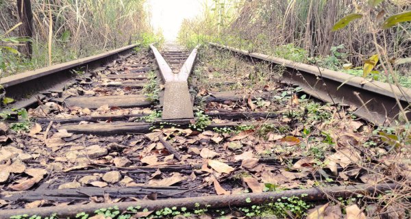 丈夫发现妻子外面有人了怎么办