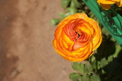 男生为什么跟你玩欲擒故纵 男人欲擒故纵其实是真的喜欢