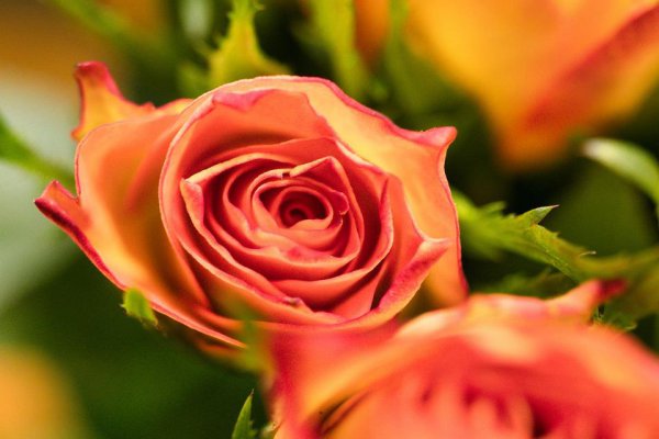 男生为什么跟你玩欲擒故纵