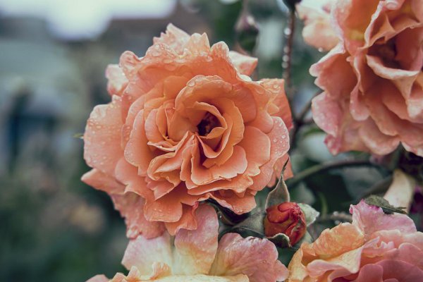 男生为什么跟你玩欲擒故纵