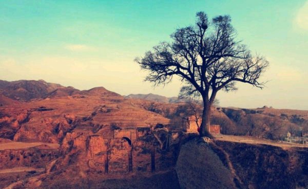 平型关在山西的哪个县