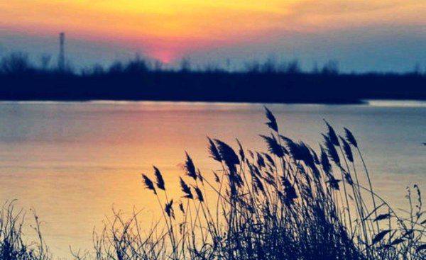 平型关在山西的哪个县