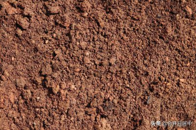 三类土是什么土质 关于土质的八种类型你了解多少