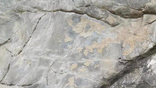 三类土是什么土质