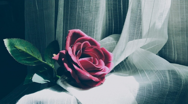 为何越相爱的人越互相折磨