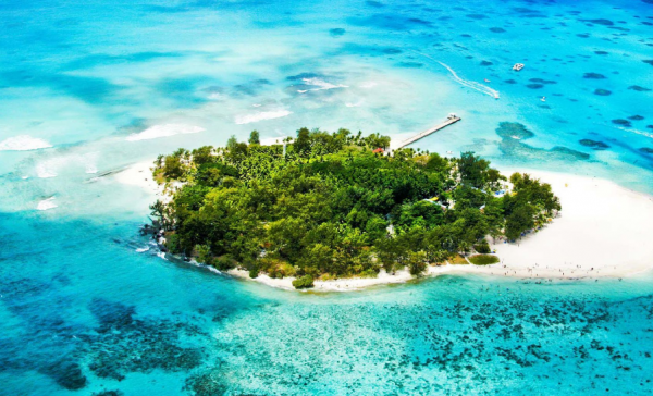 澳门富豪纪晓波的简介资料