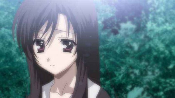 网络上的病娇是什么意思