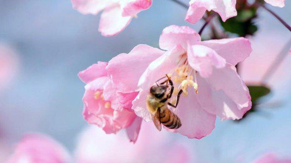 赞颂老师的诗句