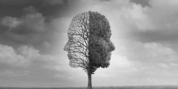 如何调整心态和正确处理情绪