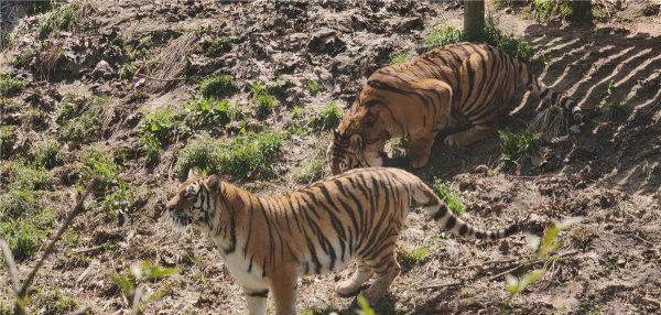 扬州有什么好玩的地方