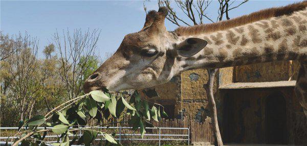 扬州有什么好玩的地方