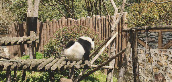 扬州有什么好玩的地方