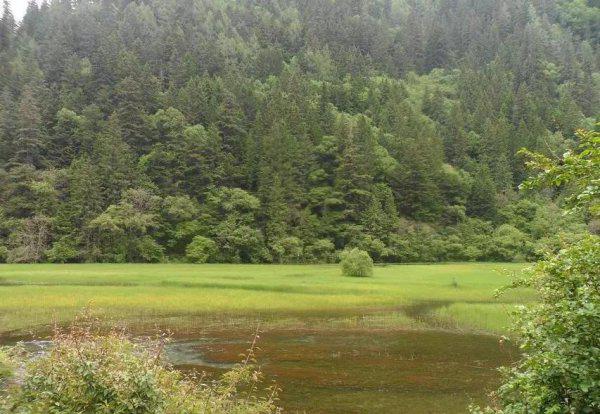九寨沟在四川哪个城市哪个县