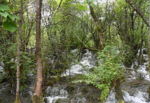 九寨沟在四川哪个城市哪个县