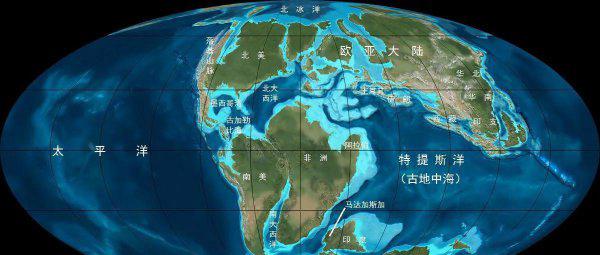 塔里木盆地在哪里